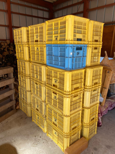 【お譲り先決まりました】収穫用コンテナ みかんコンテナ 収納BOX ８０個