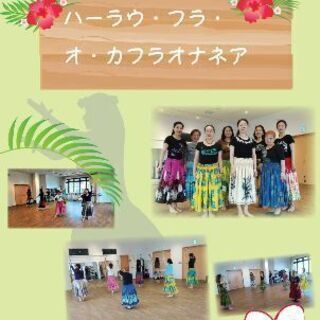 アットホームなフラダンス