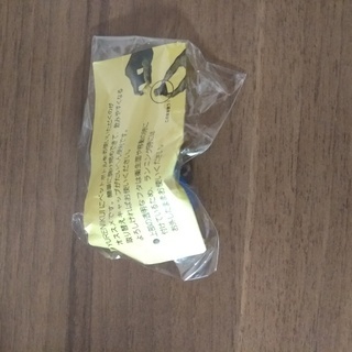 ランニングポーチ(YURENIKUI) + ペットボトルキャップの画像