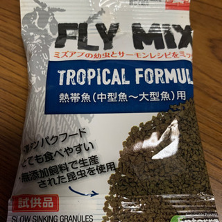 熱帯魚中型魚〜大型魚用