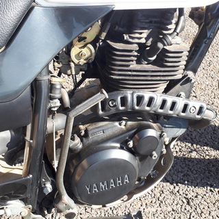 YAMAHA TW200の画像