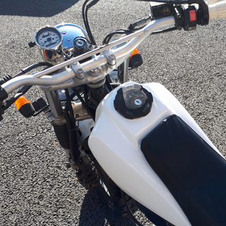 YAMAHA TW200の画像