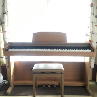 Roland RP501R