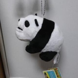 【売り切れ】シャクレルプラネットの画像