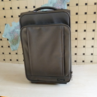 キャリーバック（hideo design)　１度使用