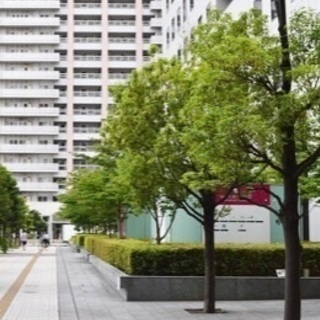 ⭐品川区好き集まれ