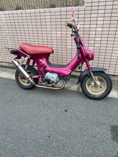 シャリーカスタム！