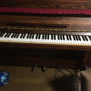 YAMAHA E-501  ※まもなく受付を終了致します。