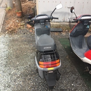 《譲渡完了》ホンダ タクト AF24 黒の画像