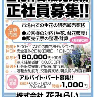 生花仲卸業務スタッフ・男性スタッフ活躍中・正社員・月給18万円・週休2日制・夕方前に帰れます♪の画像