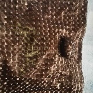 アンコロック　うさ耳の画像