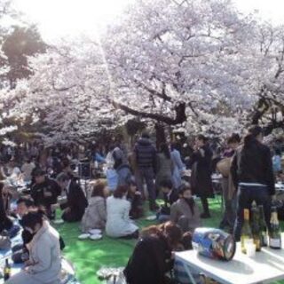 3/21(土)＆3/28（土）12:00～150名規模【お花見企...