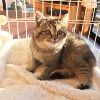 里親さんが決まりました！！