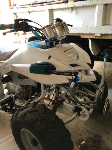 バギー 中華 フルサイズ