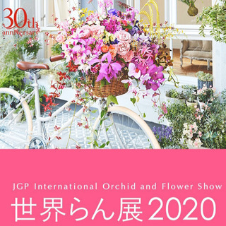 世界らん展２０２０へ
