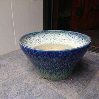 金魚 めだか 鉢