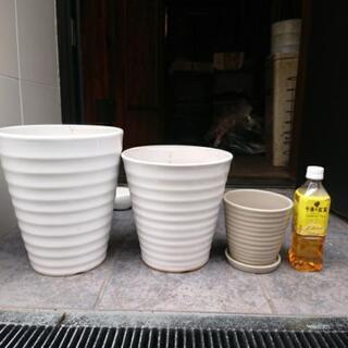 植木 花 鉢の画像