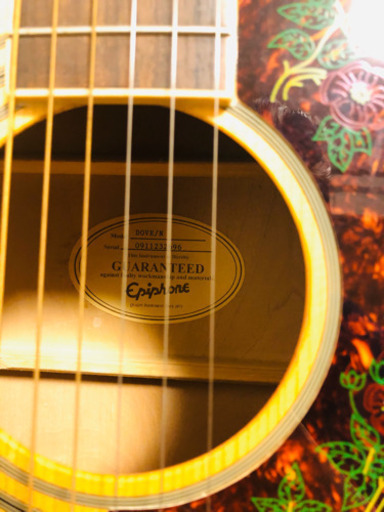 Epiphone Dove 美品 アコースティックギター ケース付