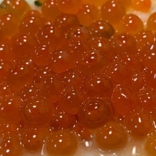 ⭐中国・四国 美食グルメグループ