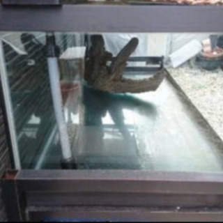 値下げ 120×45×60ガラス水槽 流木 ガラス蓋セット