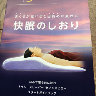 トゥルースリーパーセブンスピロー値下げ正規品　シングル11000...
