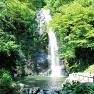『箕面の滝へ行きませんか😊』