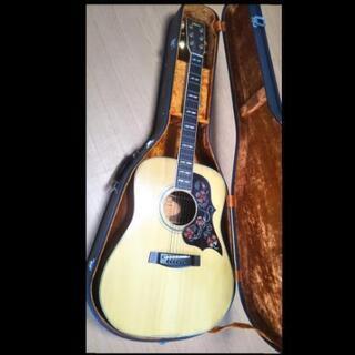 YAMAHAヤマハ/ハードケース鍵付き ギター FG401WB 希少モデル