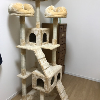 猫タワー