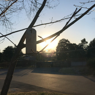 ‪【昭和記念公園でぼくとモルック！】