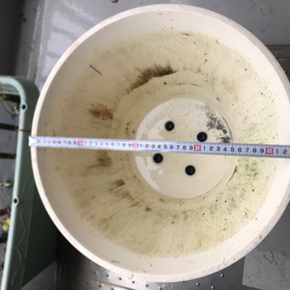 中古プラスチック製 睡蓮鉢3つセット 