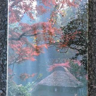 2/25徹子の部屋に出演! 武蔵野 田沼武能 写真集 文化勲章受章‼の画像