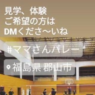 ママさんバレーメンバー募集中