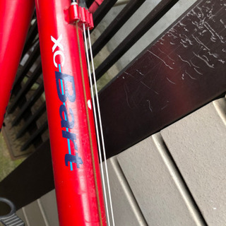 ルイガノバイクの画像