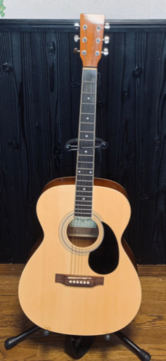 ギター(HONEY BEE)