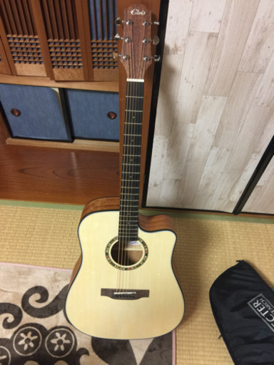 【配達OK!ケース付き】エルビス ギター master 1