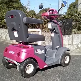電動カート　遊歩スキップ