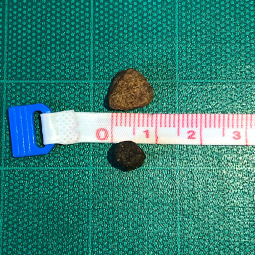 ブルーバッファロー 超小型犬  高齢犬用 チキン&玄米レシピ  1.75kg×2