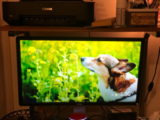 デルモニター