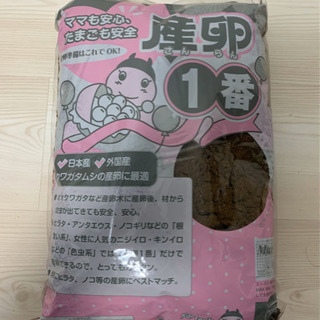 早い者勝ち‼︎ ニジイロクワガタ　グリーン血統　成虫♂、幼虫6匹セットの画像