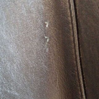 レザーコートの画像