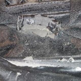 ボウリングバッグ(2個用)とボールの画像