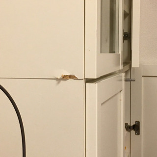 IKEA BILLY OLSBO 棚の画像