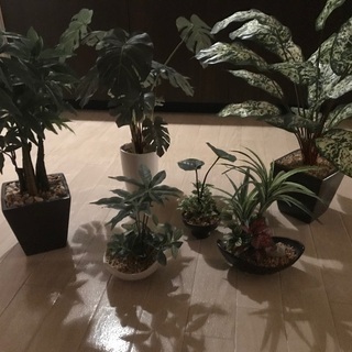 観葉植物　造花
