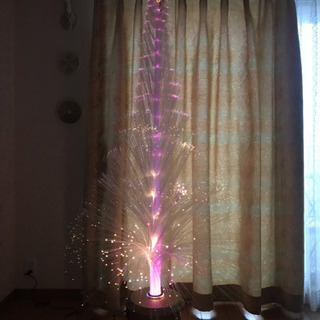 ファイバーツリーの画像