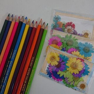 《おうち時間のお手伝い♪》押し花と色鉛筆で描く色鮮やかな曼荼羅アート♪(応用編)の画像