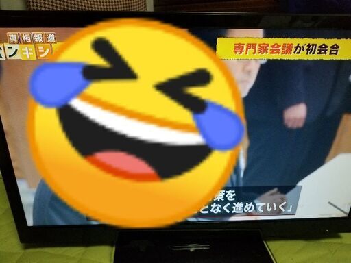 液晶テレビ GR-24LED