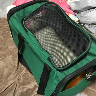 キャリーバッグ