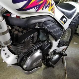 【美車】TLM220R　ホンダ最強オフロードバイク　自賠責令和2年10月まで！の画像