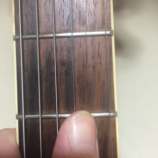 エレアコ ProMatin CUSTAOM EA450 KORG クリップチューナー付き