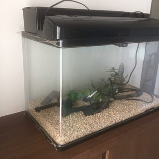 水槽セットもらってください。